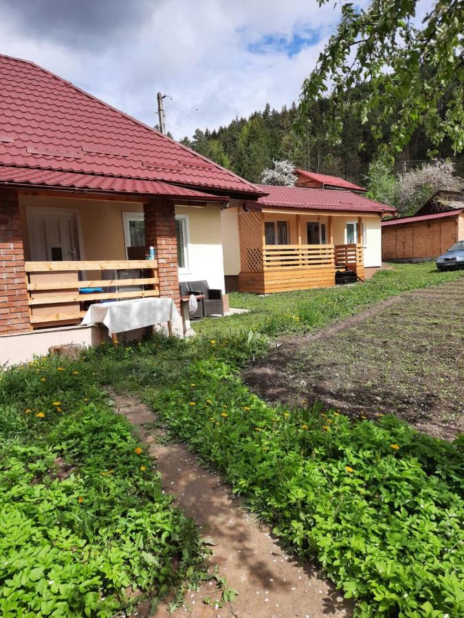 Cabanute Pitoresti Poiana Largului Holiday home Poiana Teiului